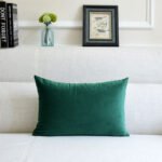 Sofa Velvet Throw Pillow - Image 6