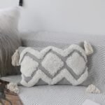 Frien Cushion Shell Canvas Throw Pillow Tufted Pillow - Image 3