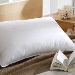 Down Pillow Core Duck Down Pillow Hotel Homestay Bedding - Image 4